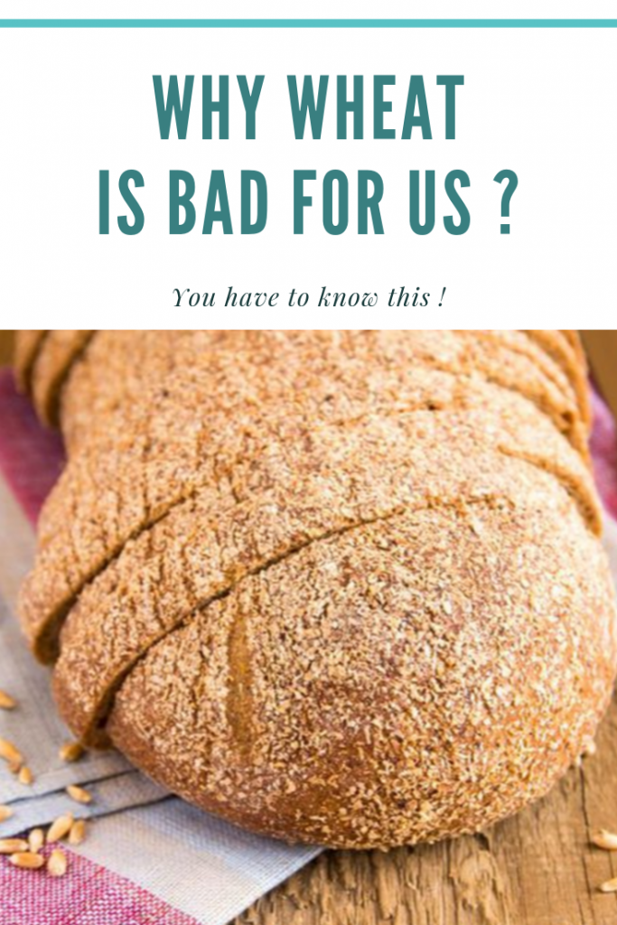 Why Wheat is Suddenly Bad for Us Now